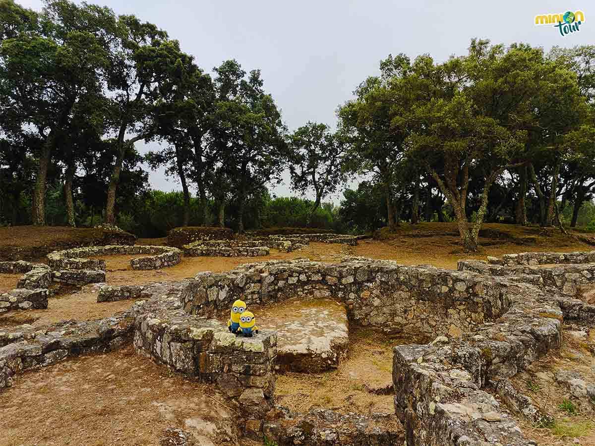 Las casas de la Cividade de Terroso se organizaban por familias