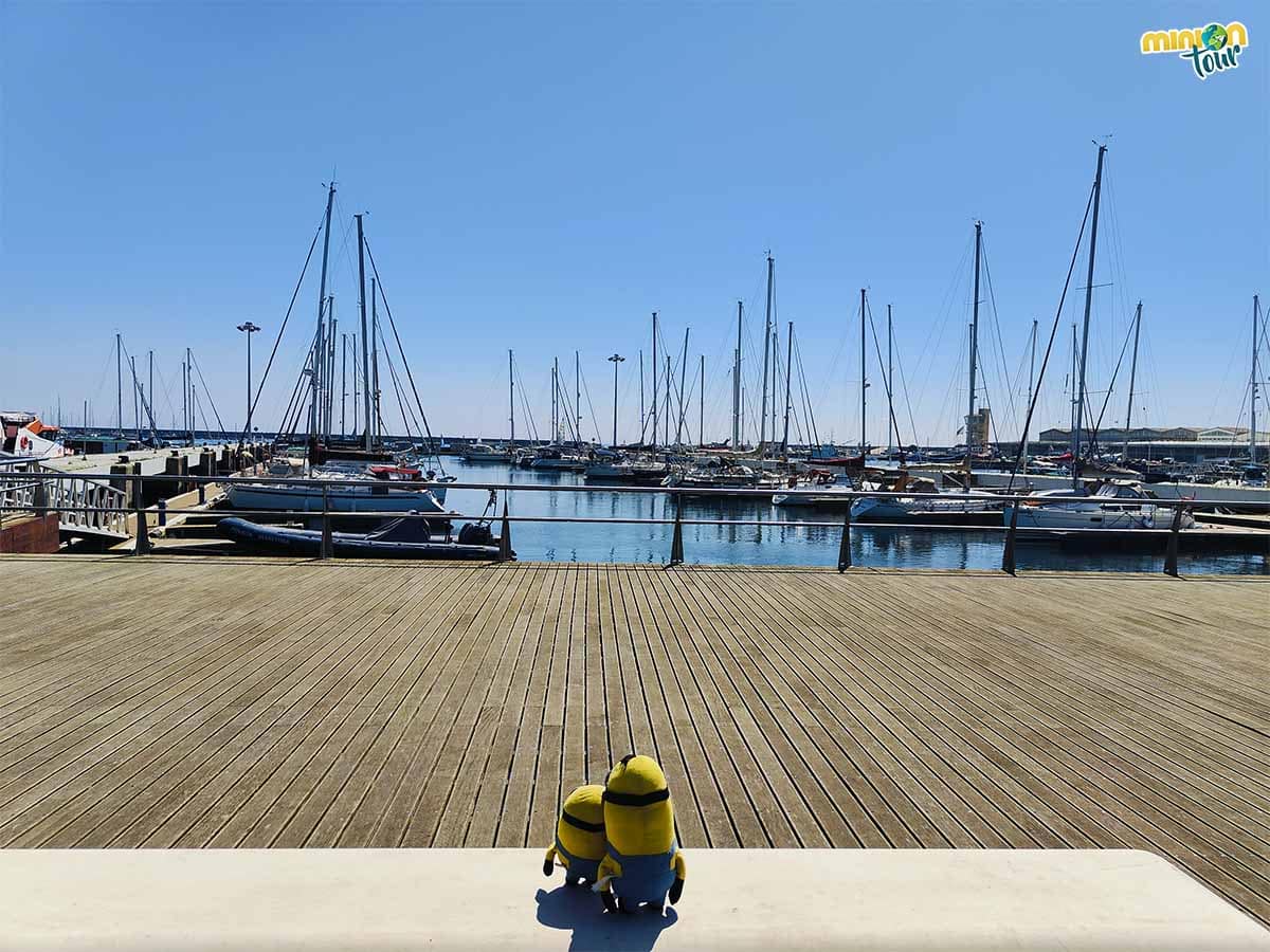 En la marina hay un montón de barcos