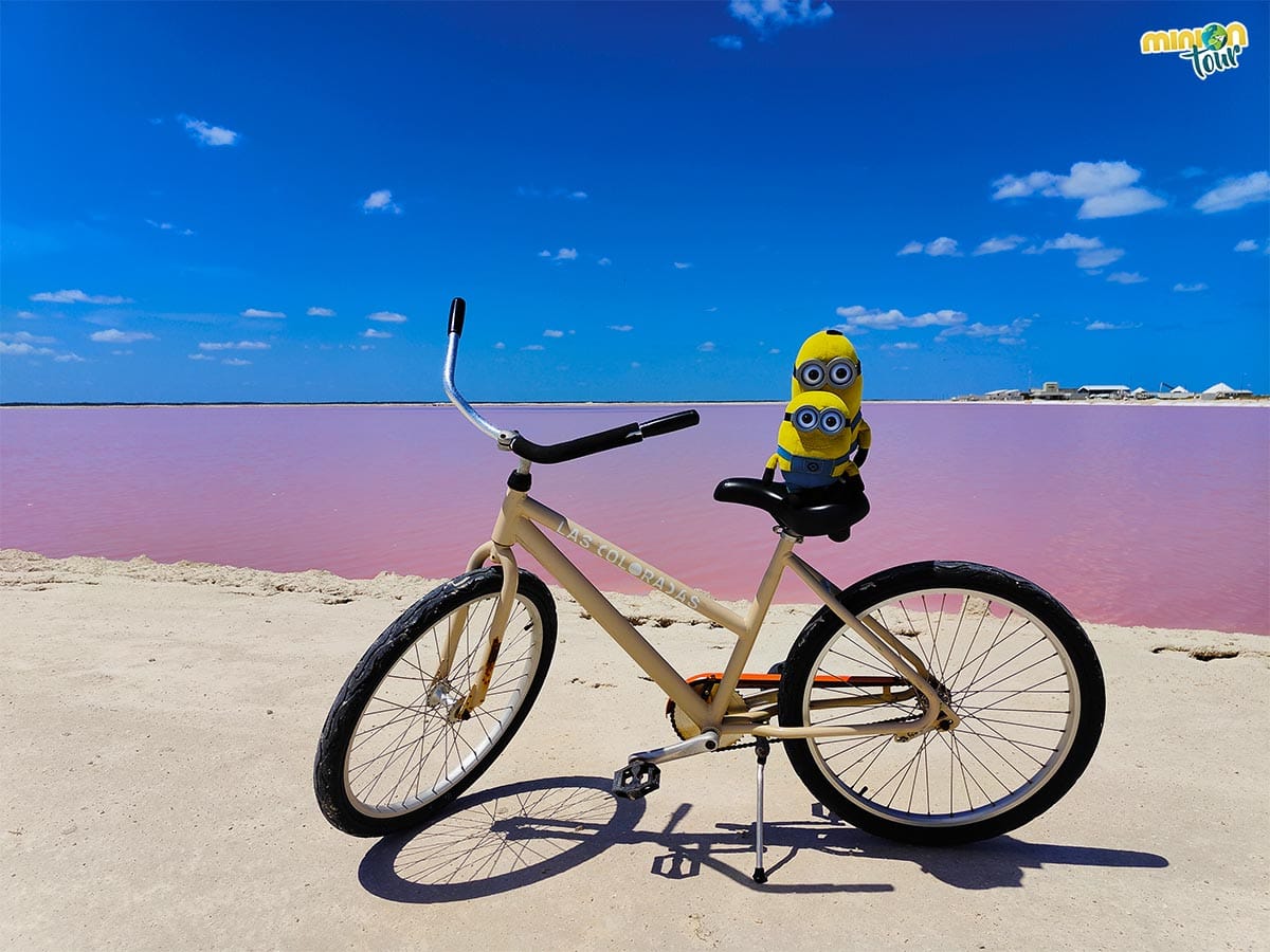 Vamos a visitar Las Coloradas en bicicleta