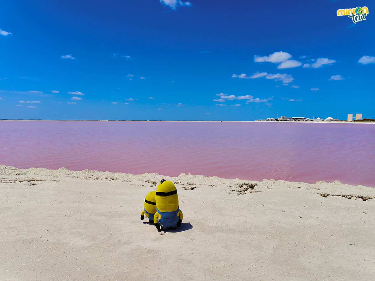 El color rosa de Las Coloradas impresiona