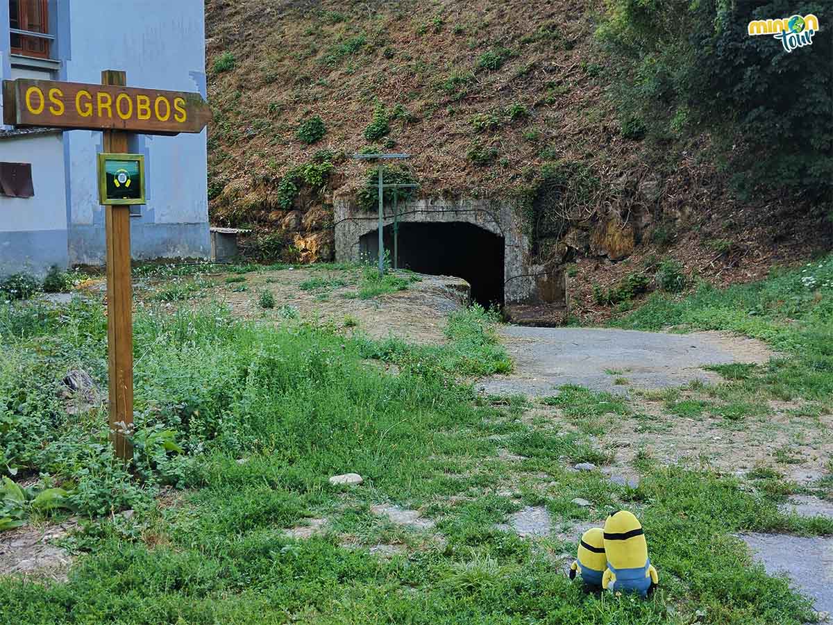 Aquí empieza la ruta al Bosque dos Grobos