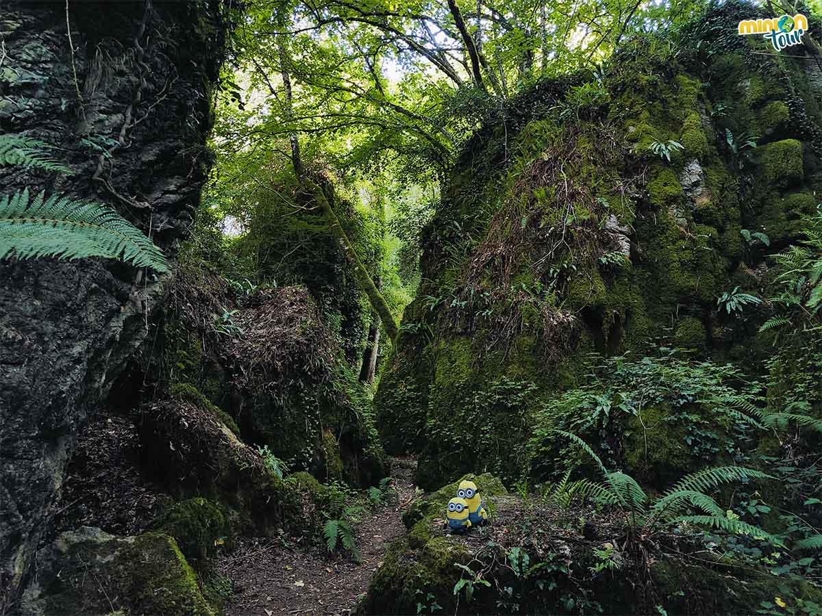 El Bosque dos Grobos es un universo mágico