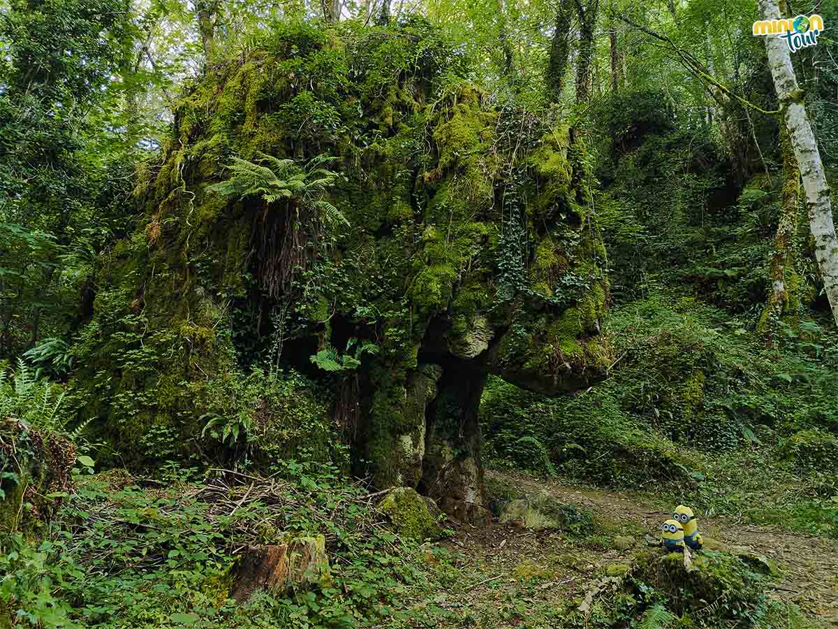 En el Bosque dos Grobos vive un rinoceronte de piedra