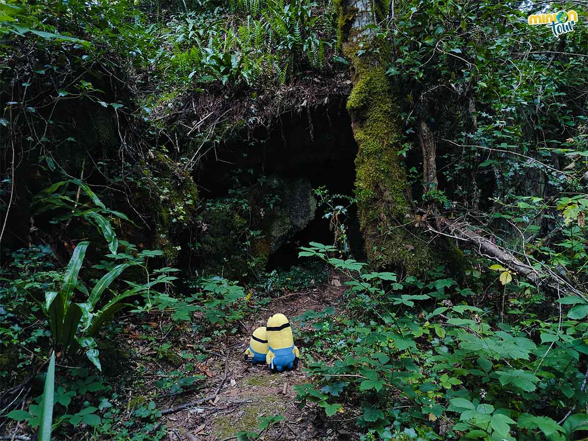 Hemos encontrado una cueva en medio del bosque