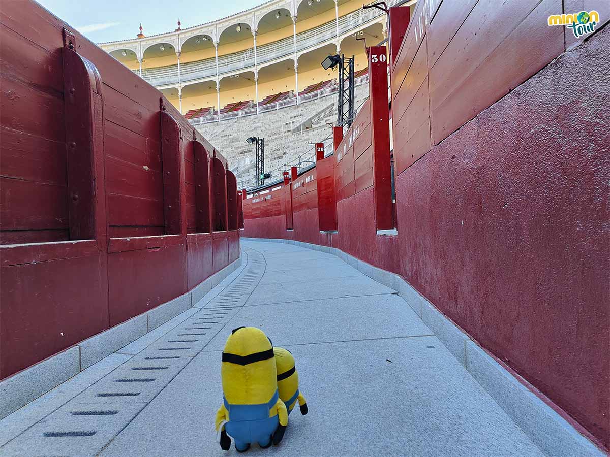 Vamos a entrar en la Plaza de Toros de Las Ventas