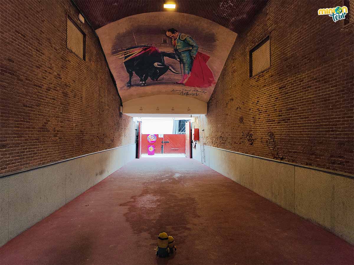 Estamos de visita en la Plaza de Toros de Las Ventas