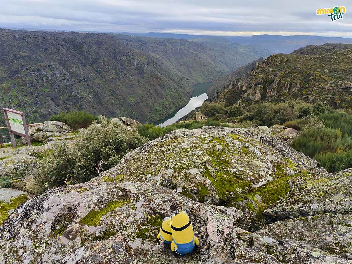 Hemos encontrado otro mirador de la ruta de miradores por Freixo